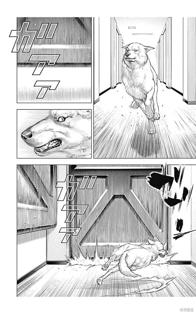第196话