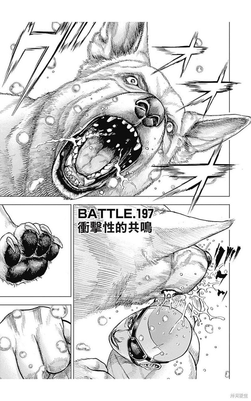 第197话