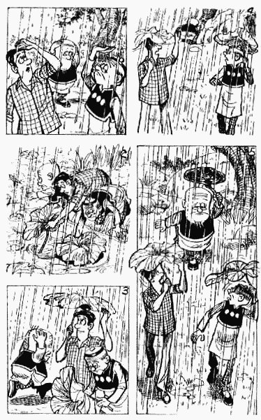 第11卷