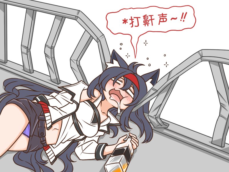 SP 酒鬼大猫