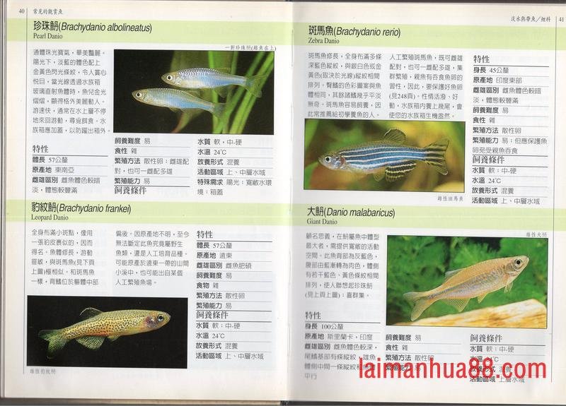 全一卷