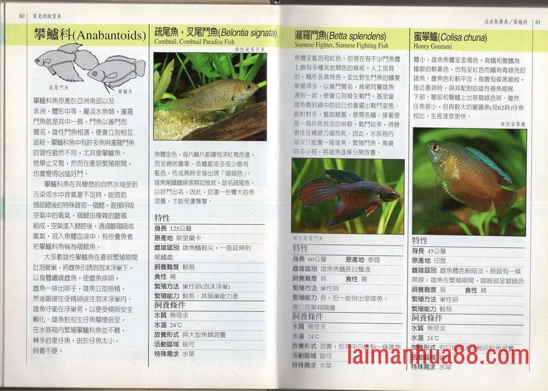 全一卷
