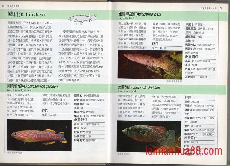 全一卷