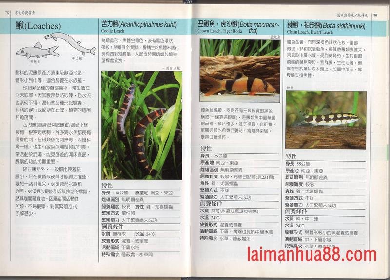 全一卷