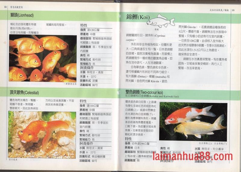 全一卷