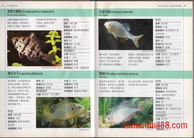 全一卷