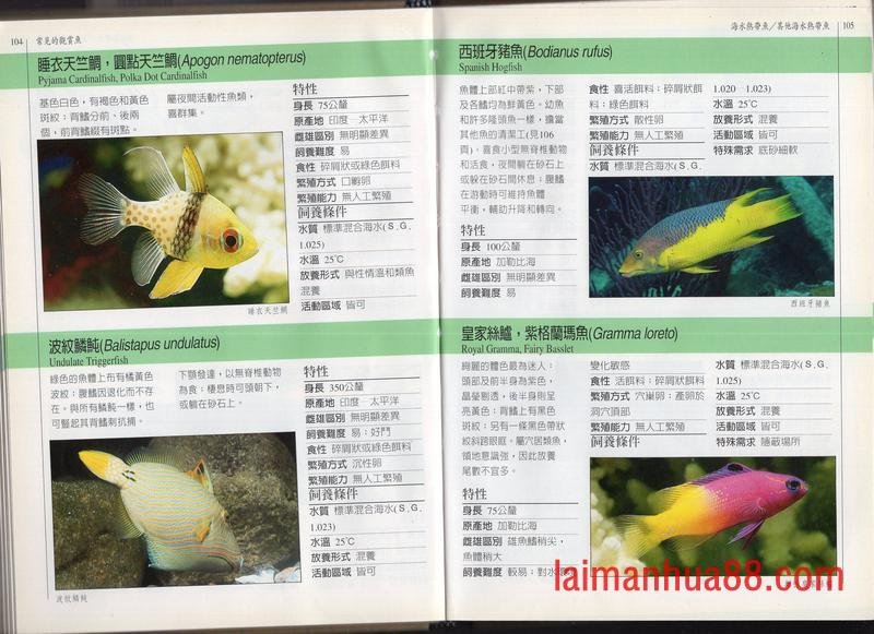 全一卷