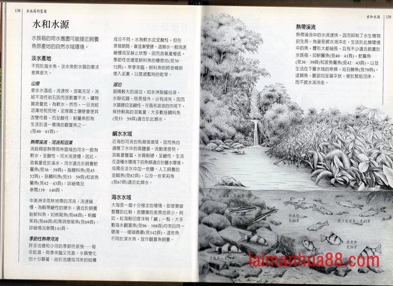 全一卷