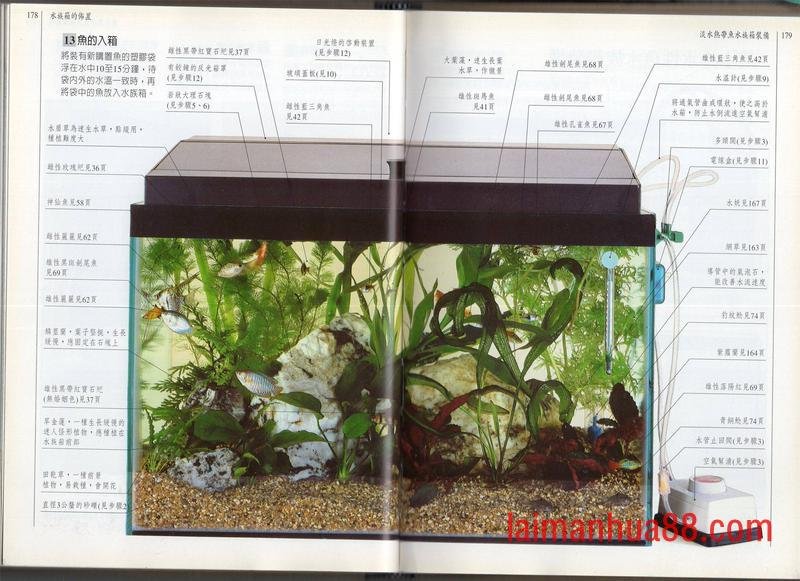 全一卷