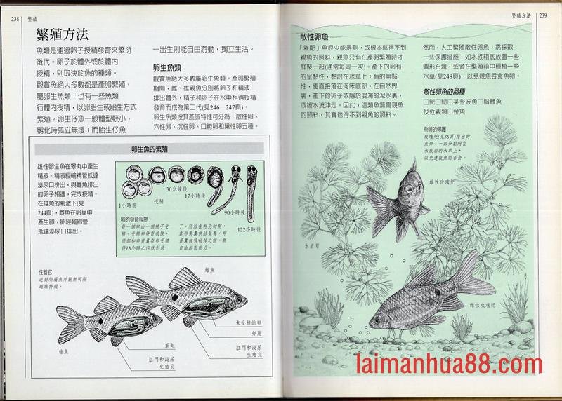 全一卷