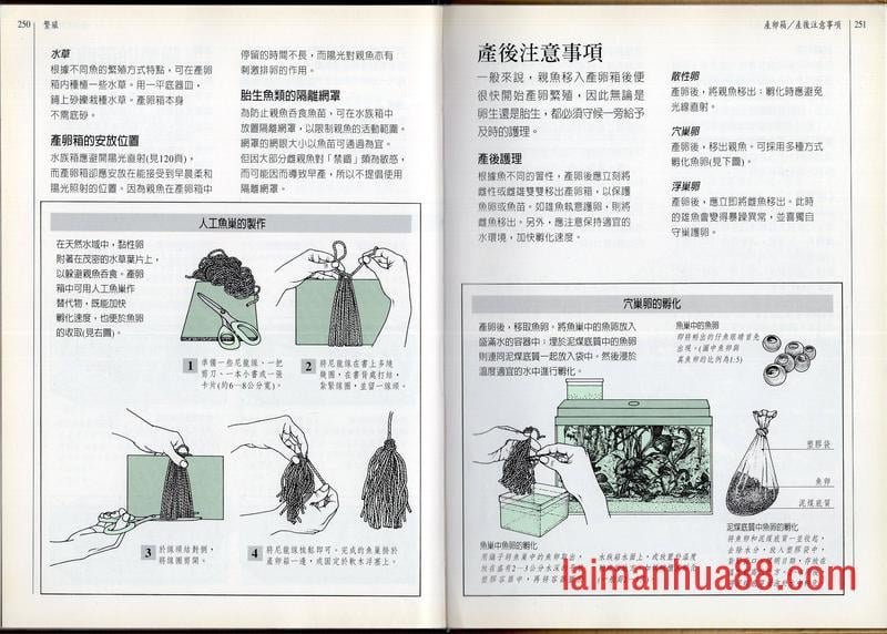 全一卷