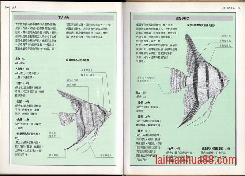 全一卷