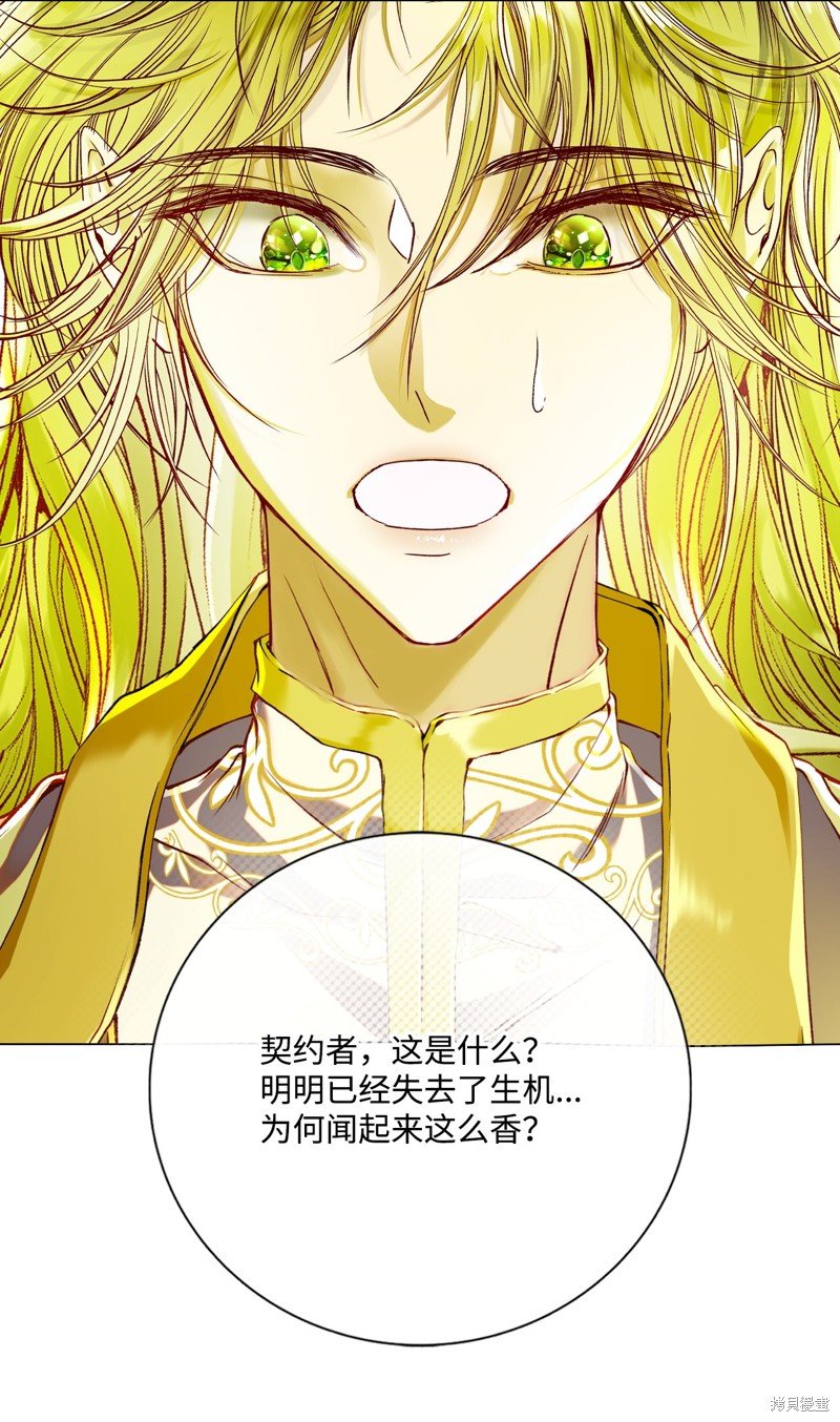 第116话