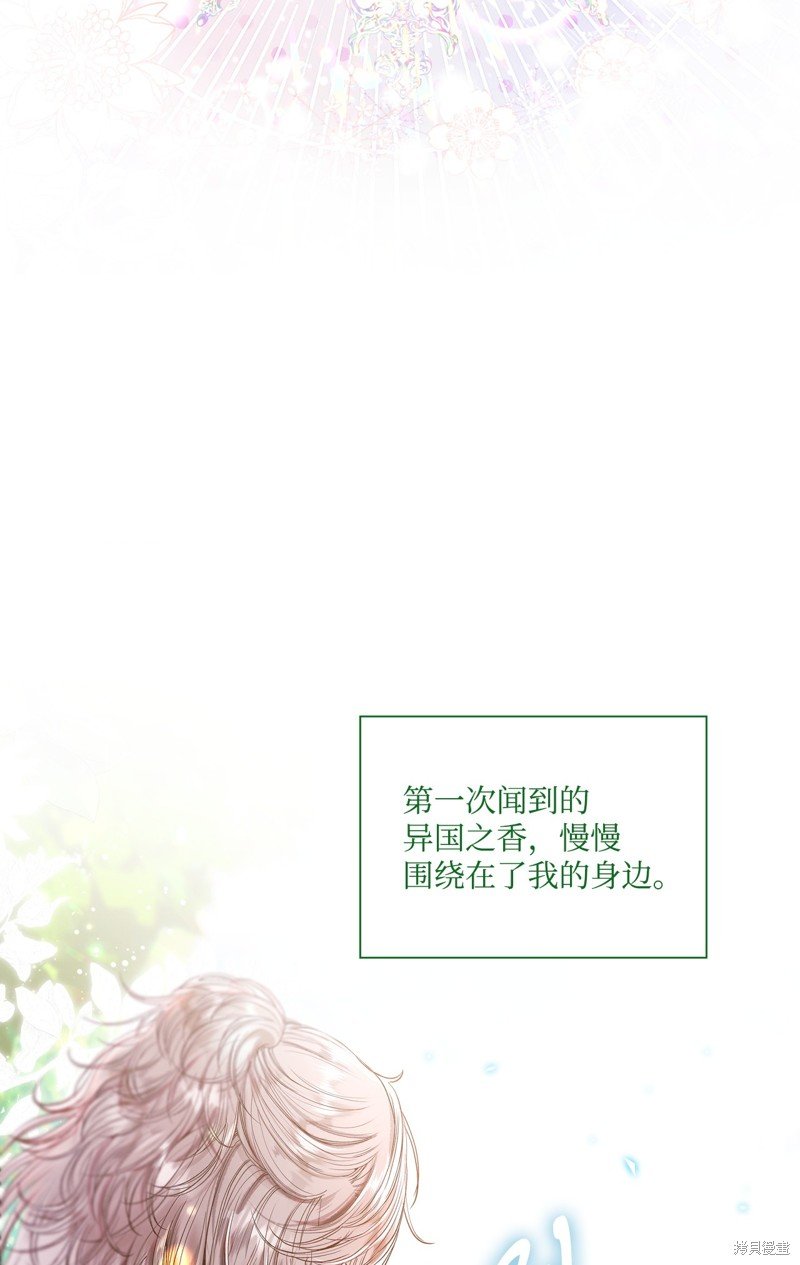 第117话
