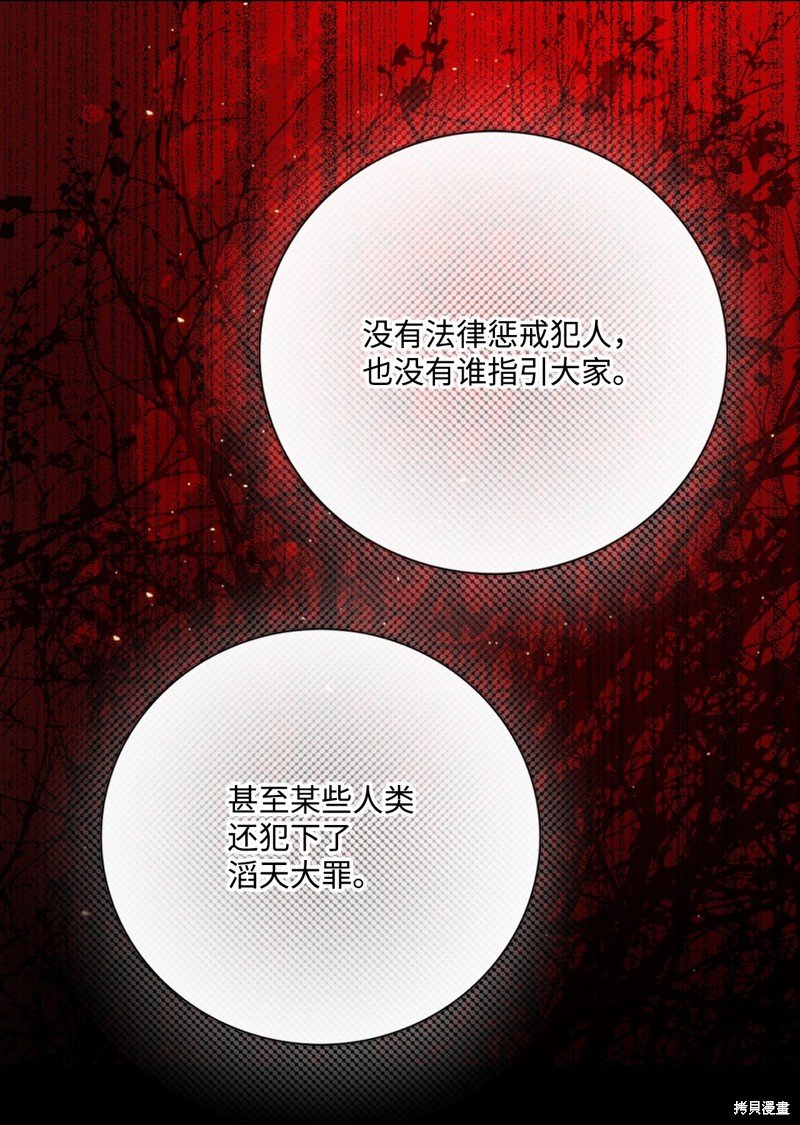第117话