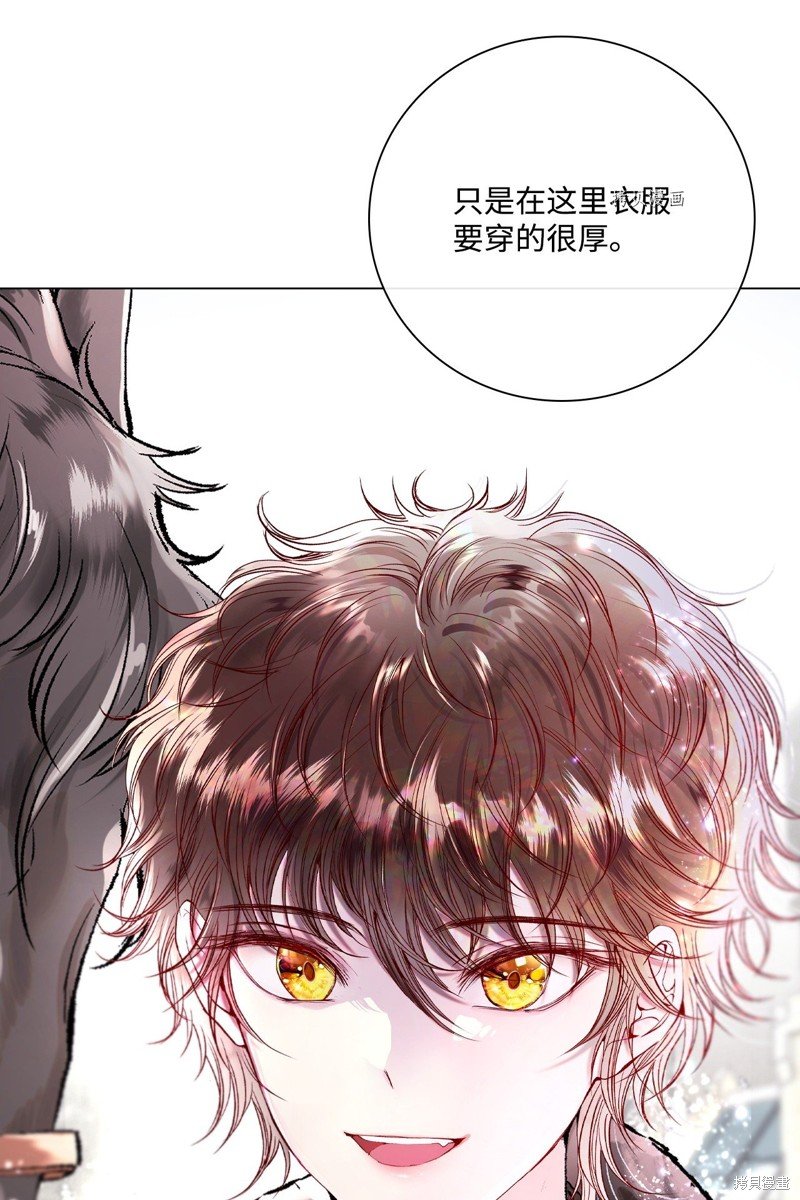 第95话