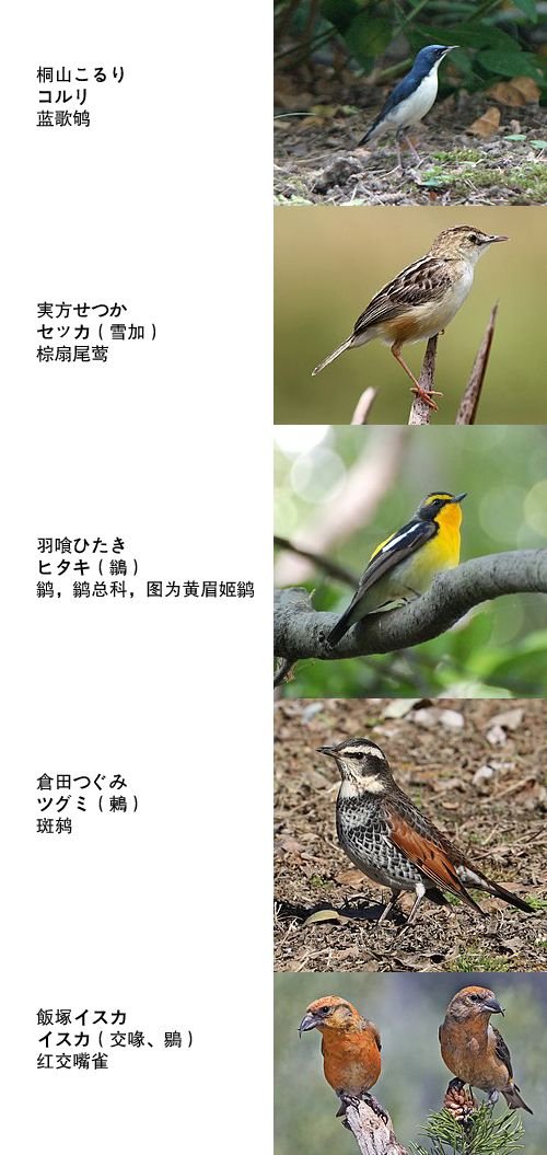 第1卷加笔