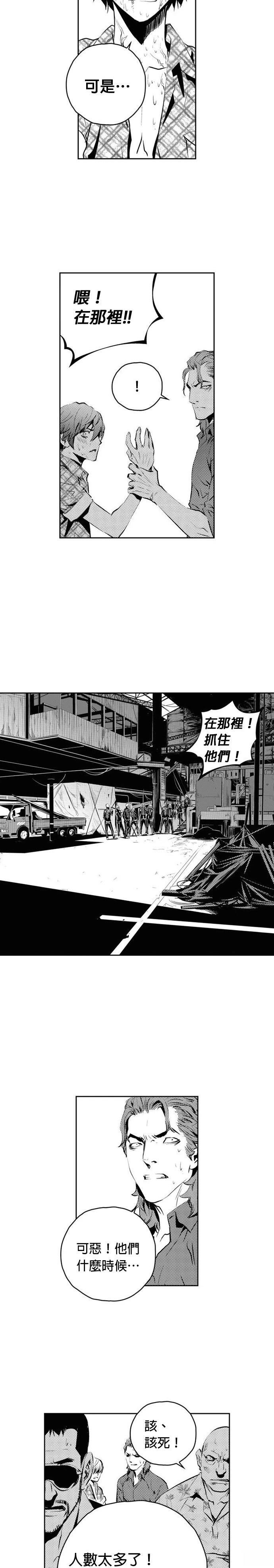 第146话