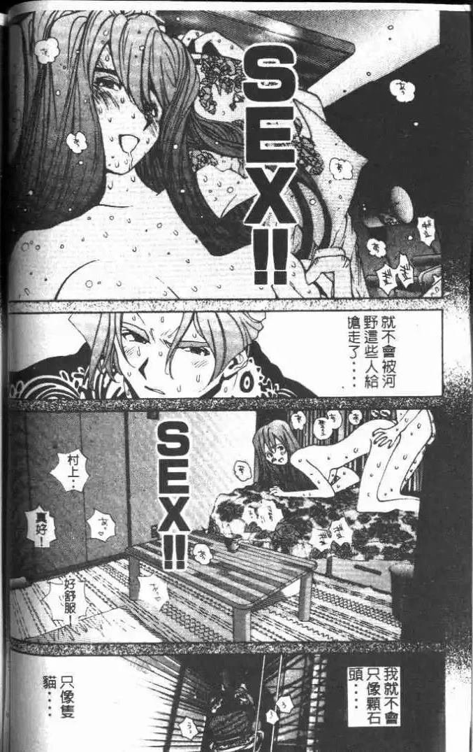 第13卷