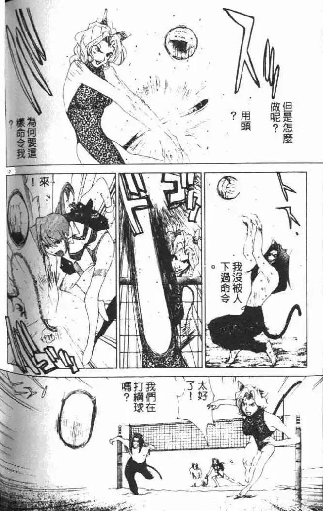 第19卷
