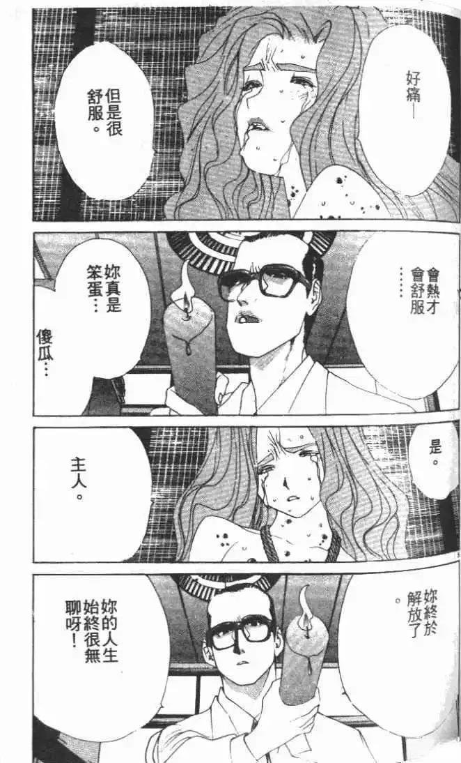 第28卷