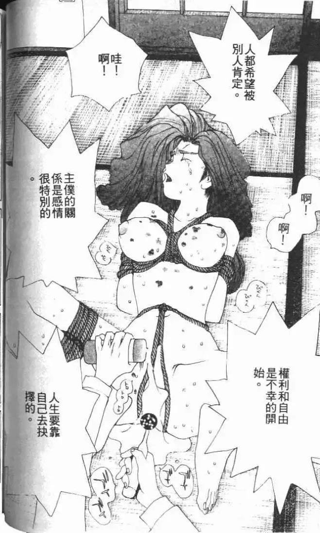 第28卷