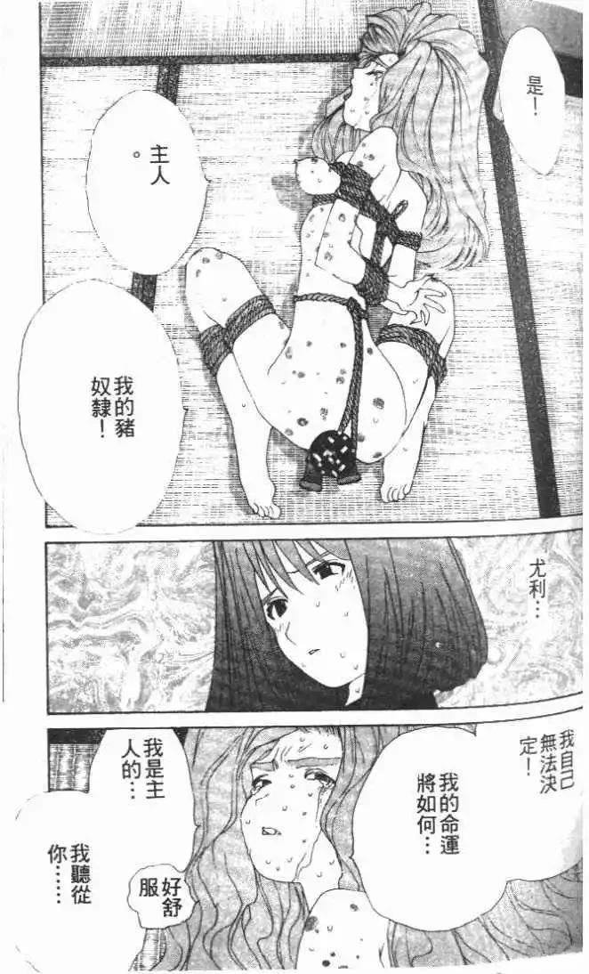 第28卷