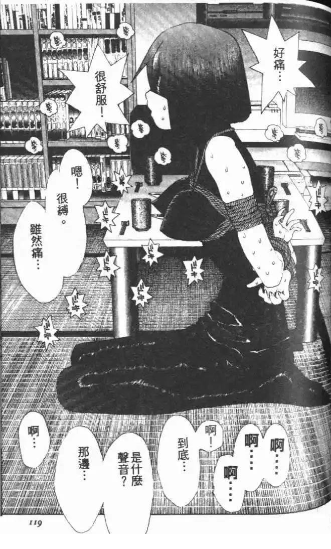 第28卷