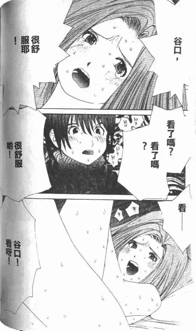 第28卷