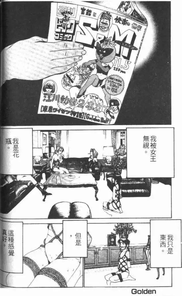 第29卷