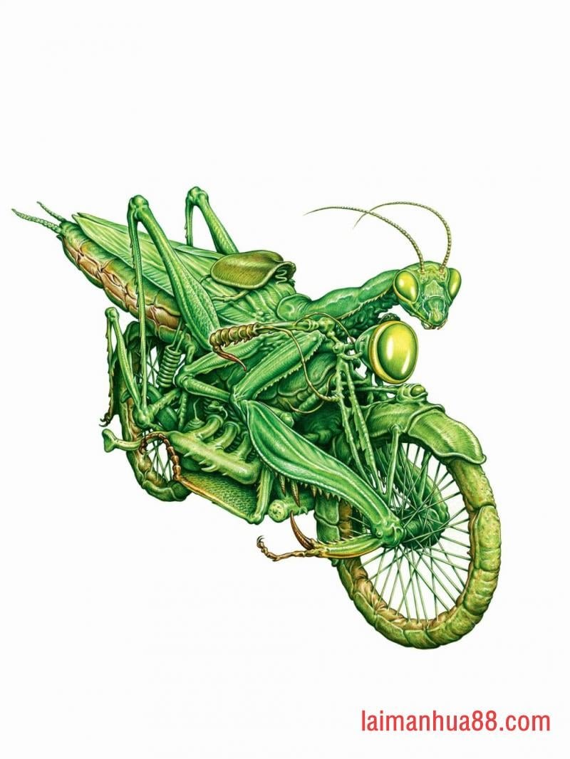 第03卷设定原画