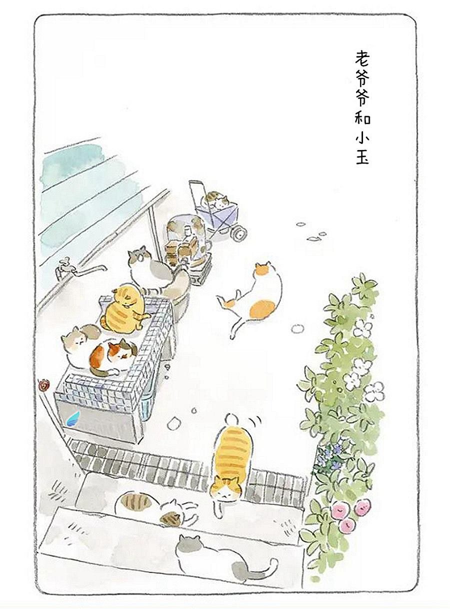 第3话 老爷爷和猫