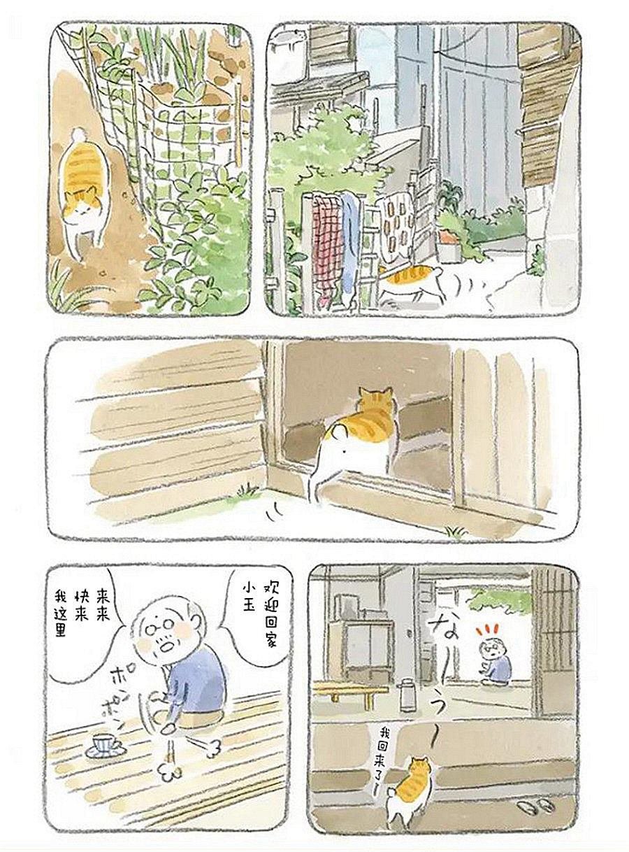 第3话 老爷爷和猫