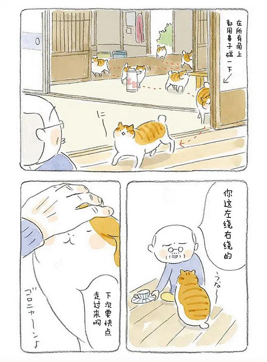 第3话 老爷爷和猫
