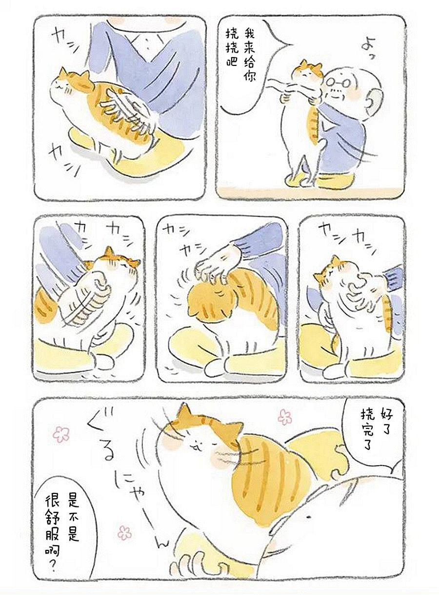 第3话 老爷爷和猫