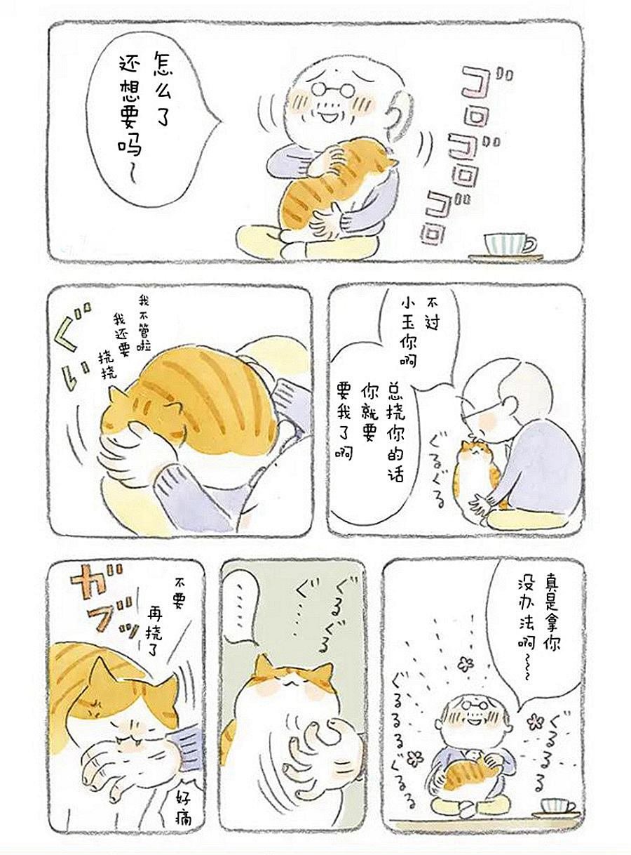 第3话 老爷爷和猫