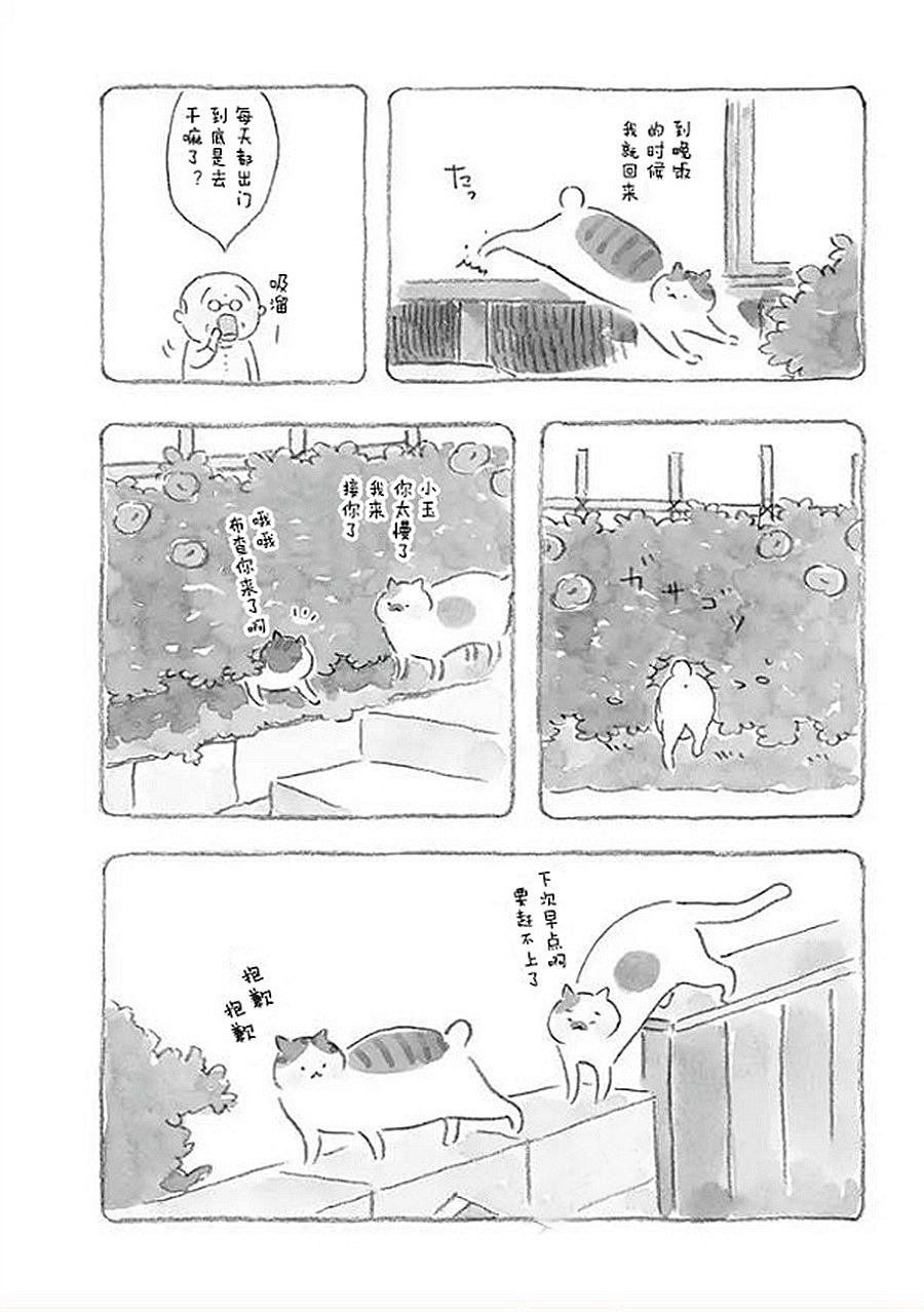 第3话 老爷爷和猫