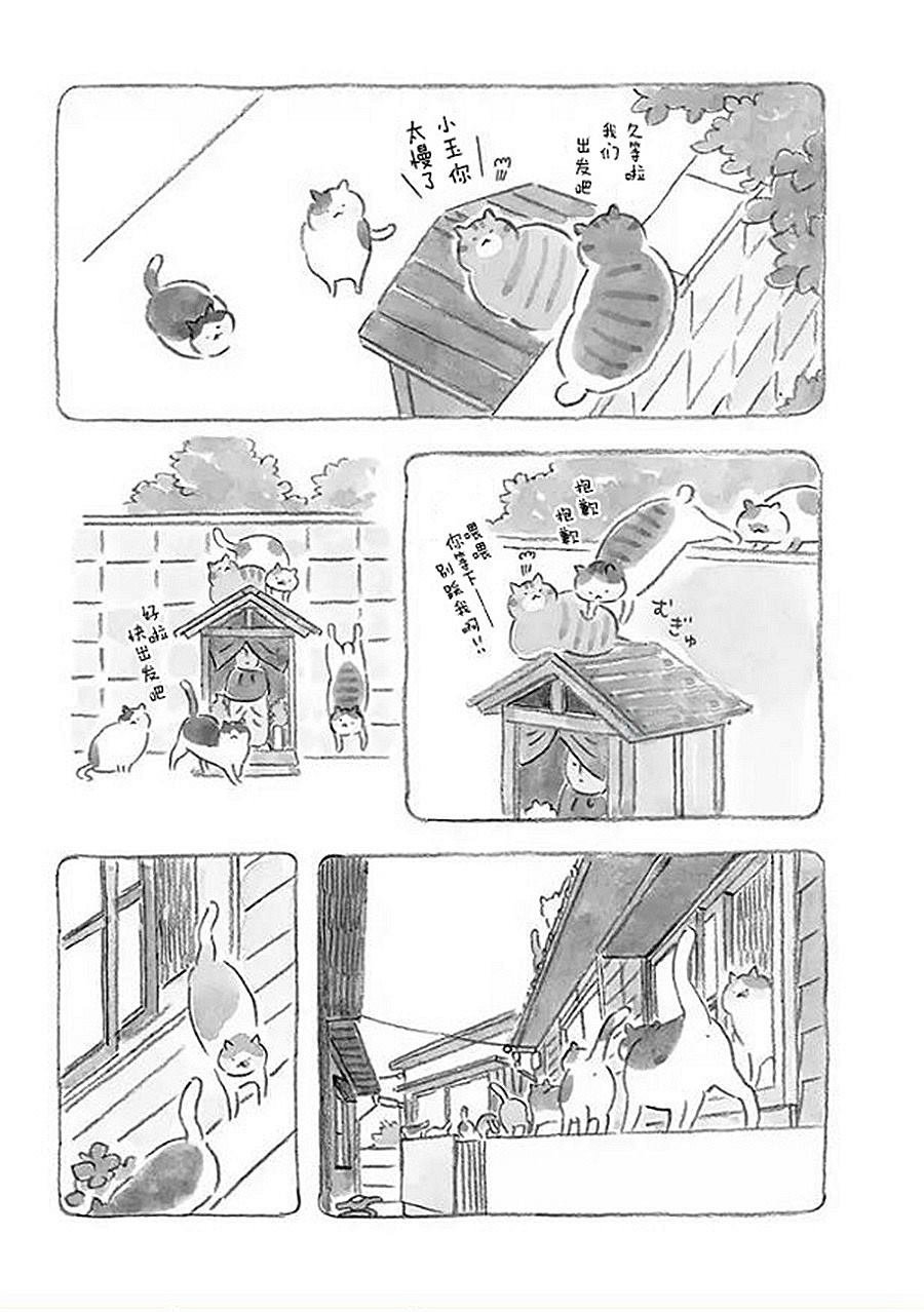 第3话 老爷爷和猫