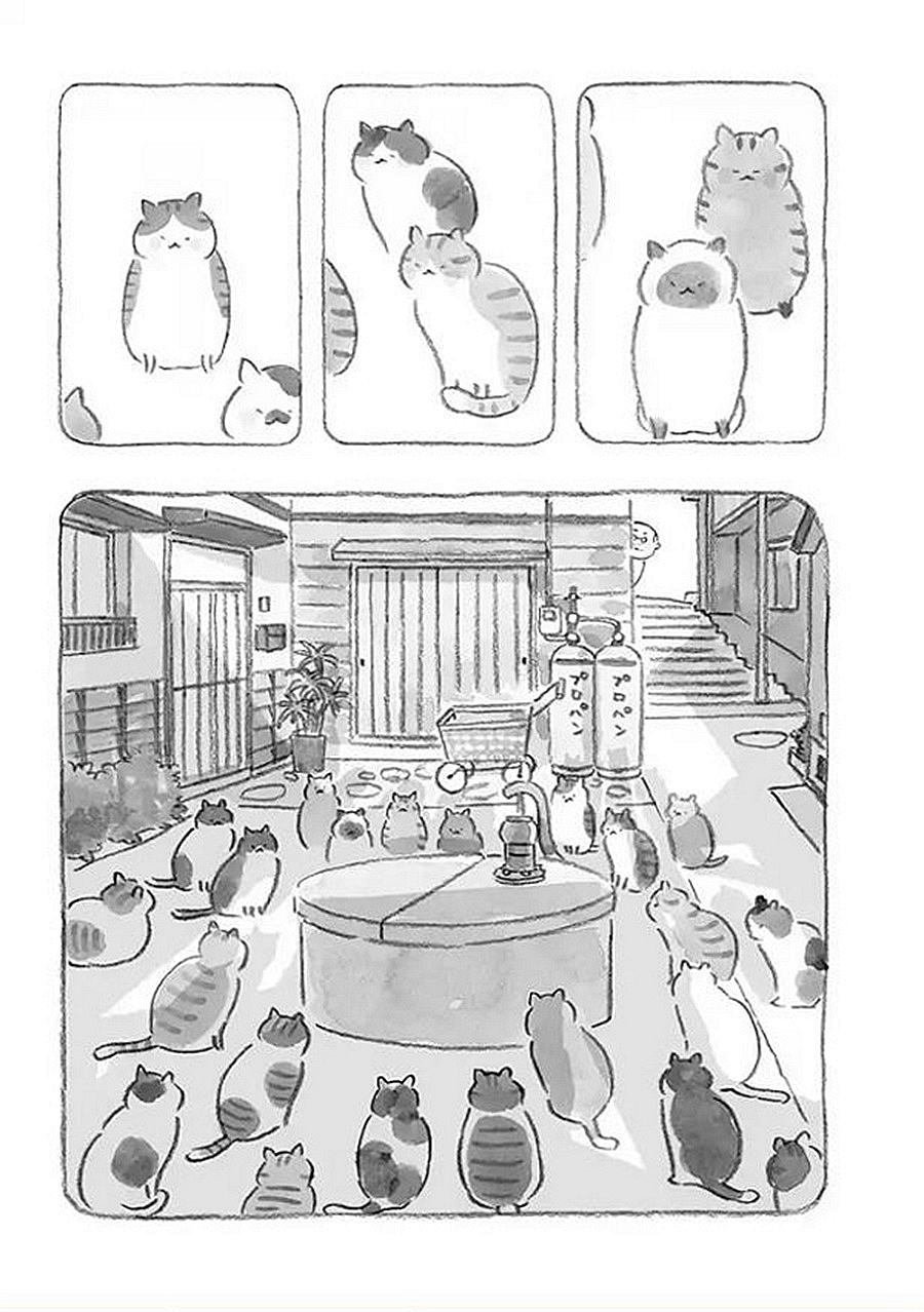 第3话 老爷爷和猫