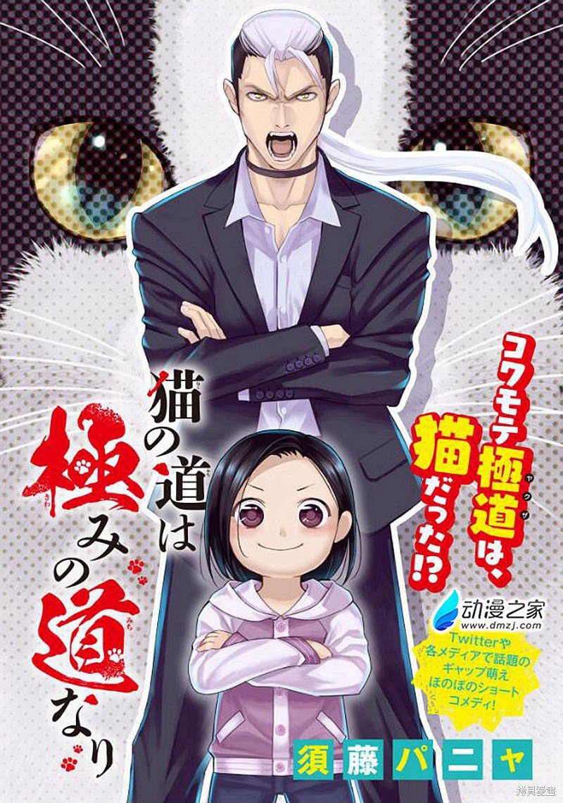 第30话 极道猫咪