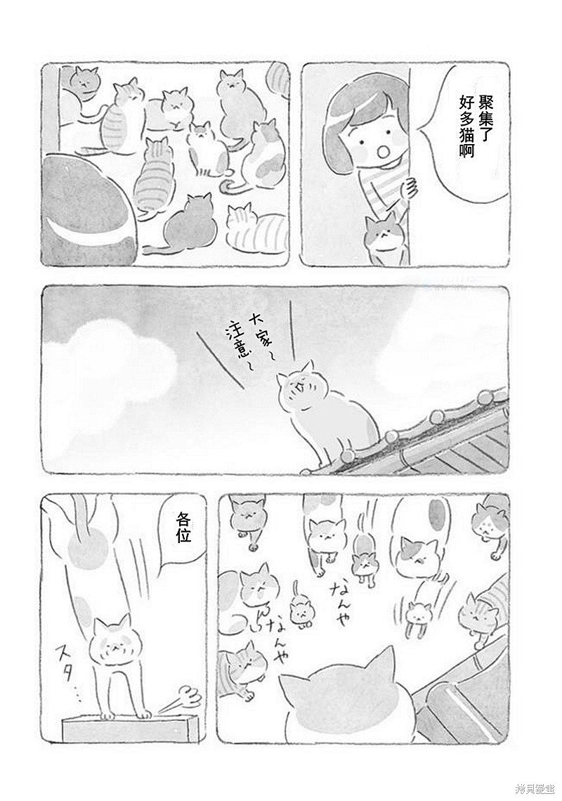 第32话 猫咪对策