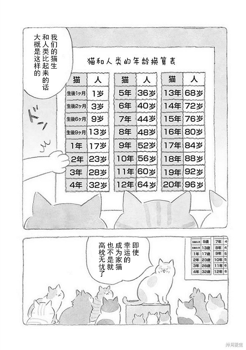 第32话 猫咪对策