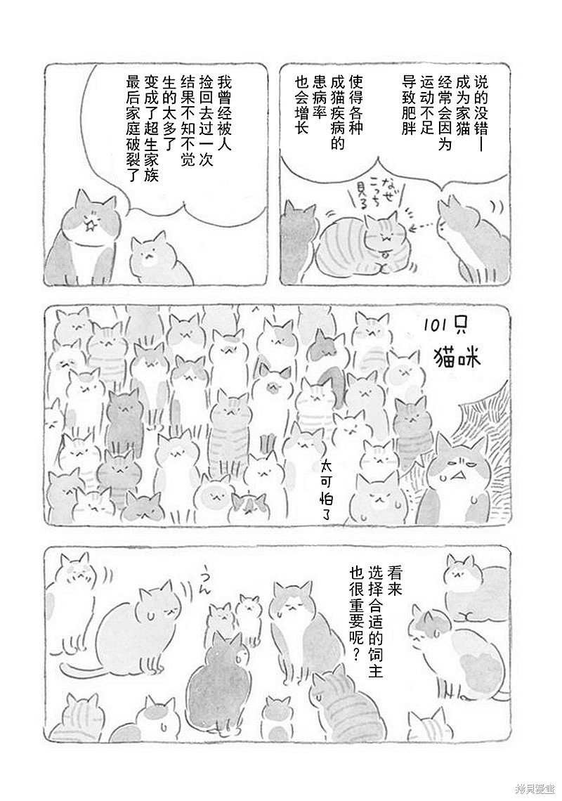第32话 猫咪对策