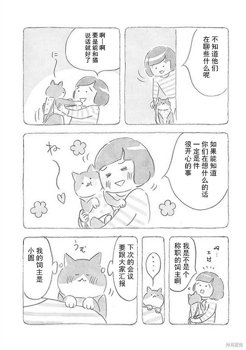 第32话 猫咪对策