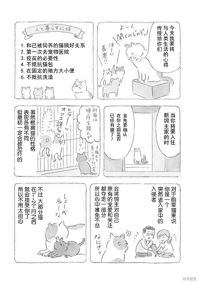 第32话 猫咪对策