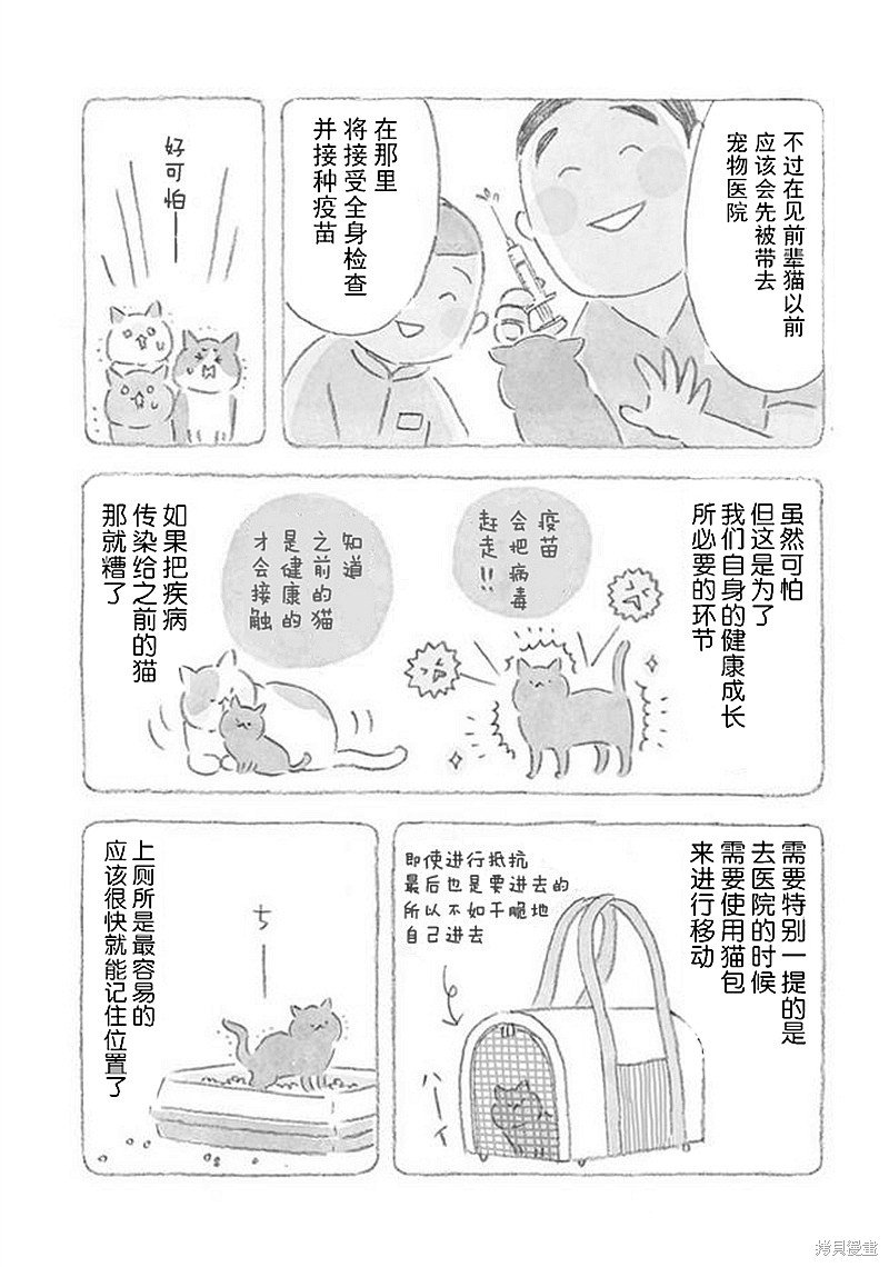 第32话 猫咪对策