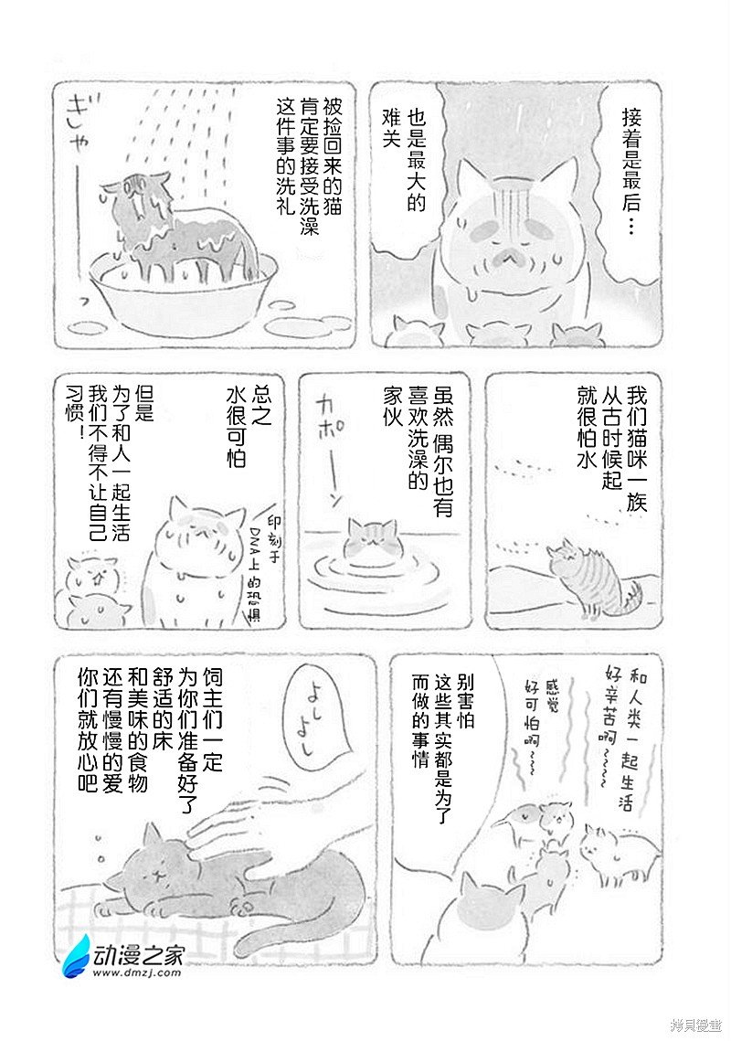 第32话 猫咪对策