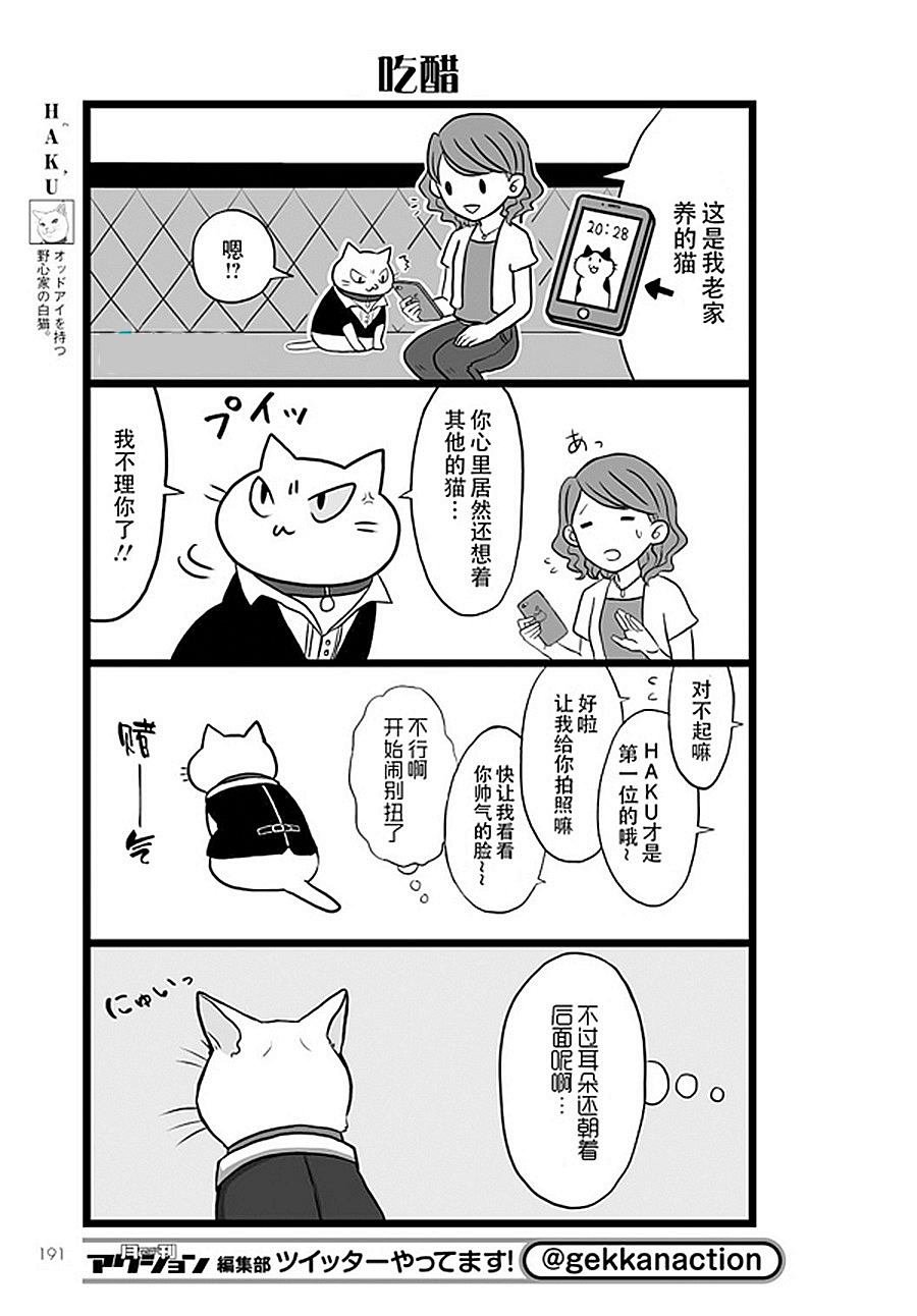 第9话 猫咪男公关