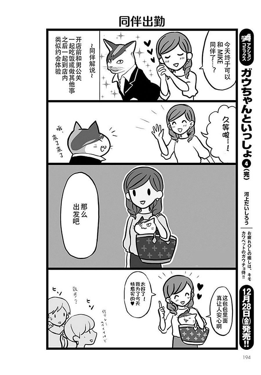 第9话 猫咪男公关
