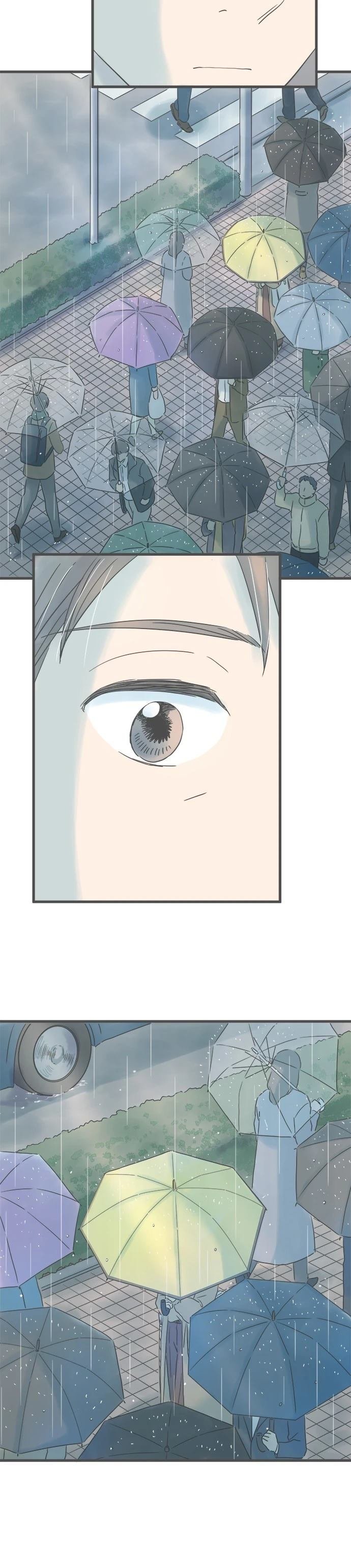 第246话